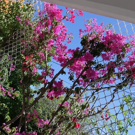 Helios-rhodos-apartments Daire