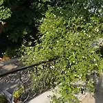 Helios-rhodos-apartments * Koskinou (Rhodes)
